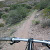 Sierra Vista Trail near the Dripping Springs trailhead.