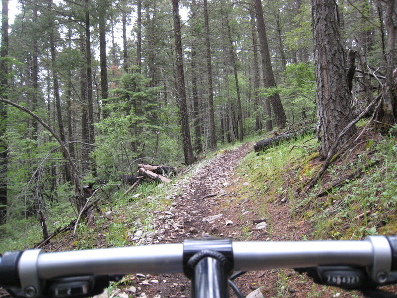 Rim Trail in between Karr Canyon Rd. and Slide Campground.