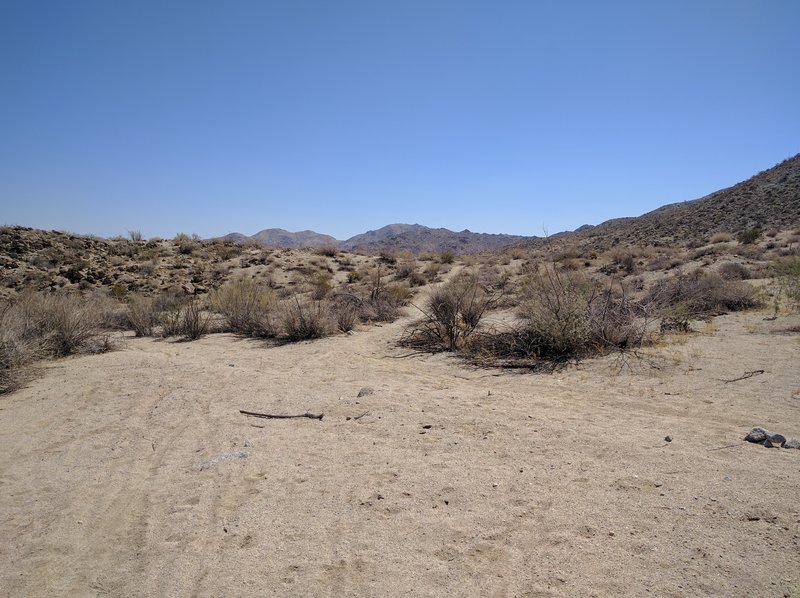 The wash on Art Smith Trail.