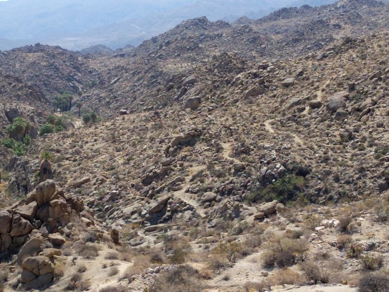 Looking southeast on Art Smith Trail.