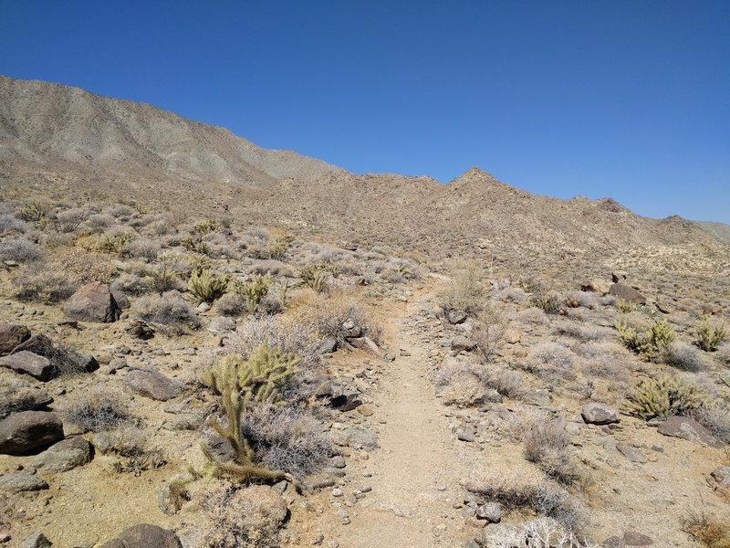 Art Smith Trail. Looking west.