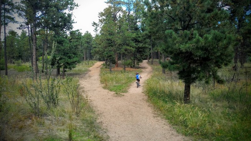 Wide trails and flowing hills are perfect for learning riders.