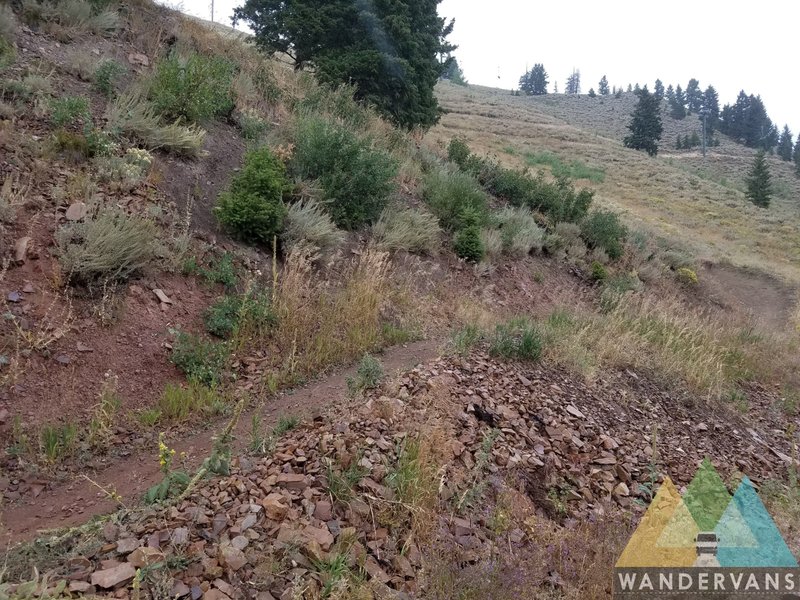 Finishing out on the Saddle Up Trail.