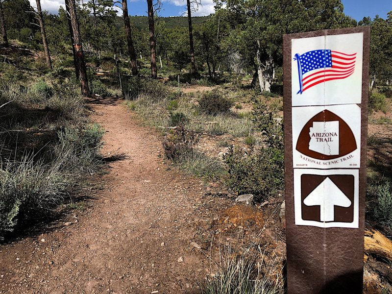 The Arizona Trail.