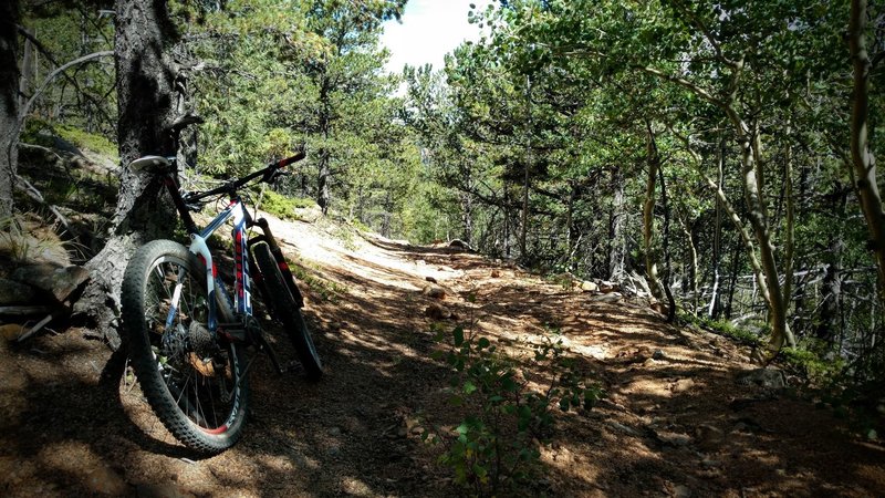 The beginning of S Cheyenne Creek trail is steep gravely doubletrack.