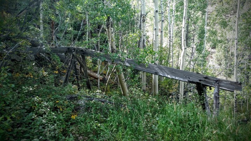 Forgotten mining construction lies hidden in the aspens.