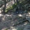 Rocky slab crossing on Rattlin' Run.