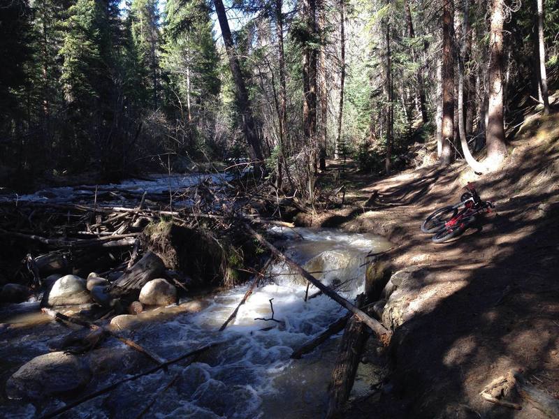 A singletrack spur near the trailhead.