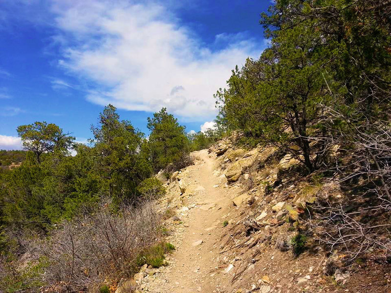 Tunnel Canyon has some really challenging climbs.