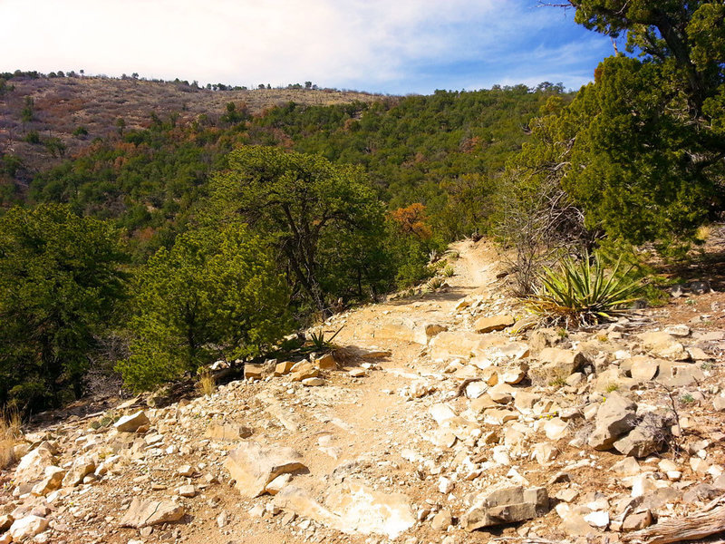 Rock ledges galore await you on Birdhouse Ridge which is best ridden downhill.