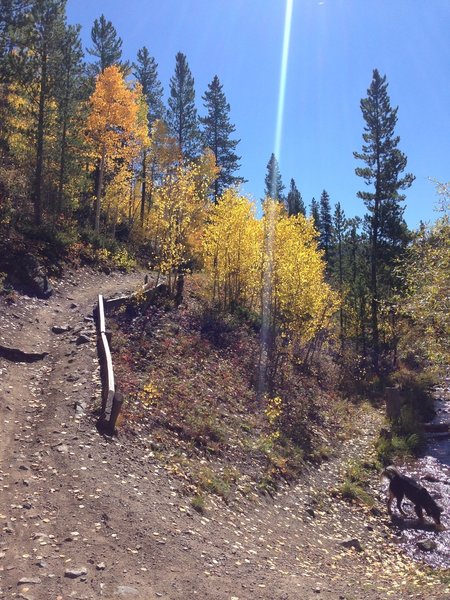 Make sure to take this fork left at the river to continue on to Peaks Trail; this is where you pass over Miner's Creek Rd.