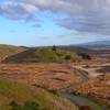 Coyote Hills Regional Park.