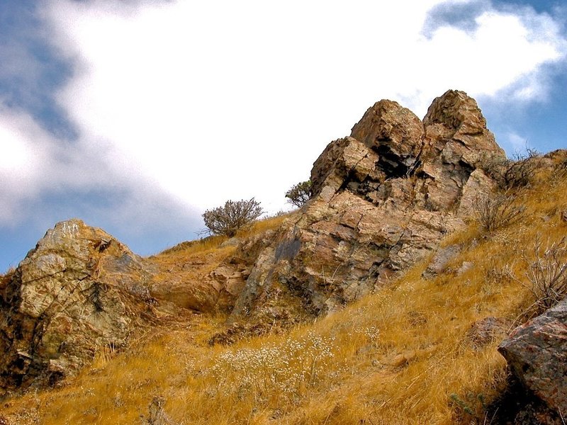 Coyote Hills rocks.