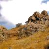 Coyote Hills rocks.