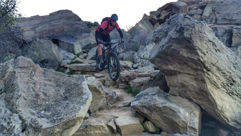 One of the gnarlier sections on Quarry Trail.