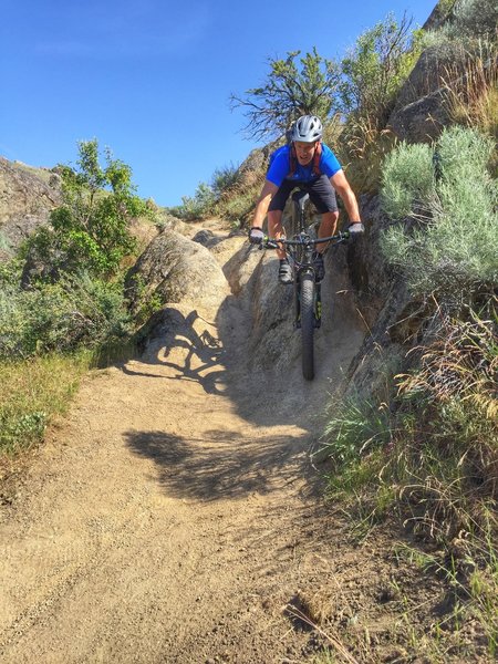 Rock roller at the bottom of Connie near Bogus Basin Road.