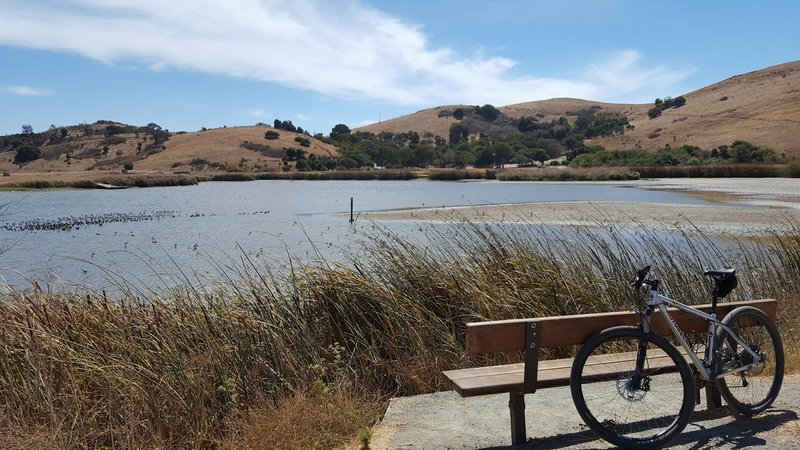 View across Main Marsh towards Coyote Hills.