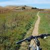 Muskrat Trail heading towards marsh.