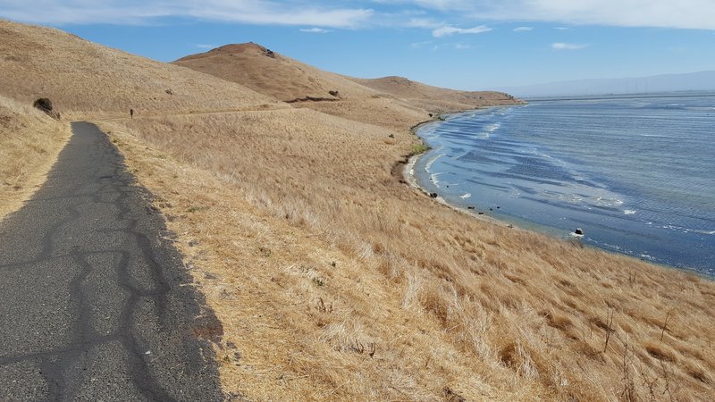 Bayview Trail heading south.