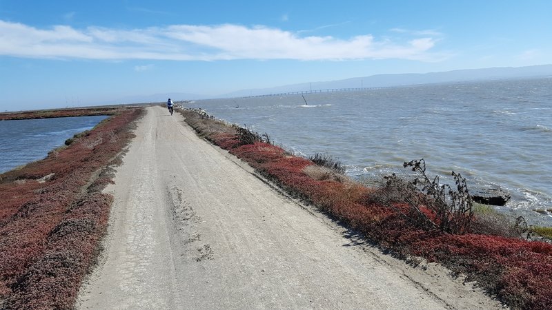 Shoreline Trail