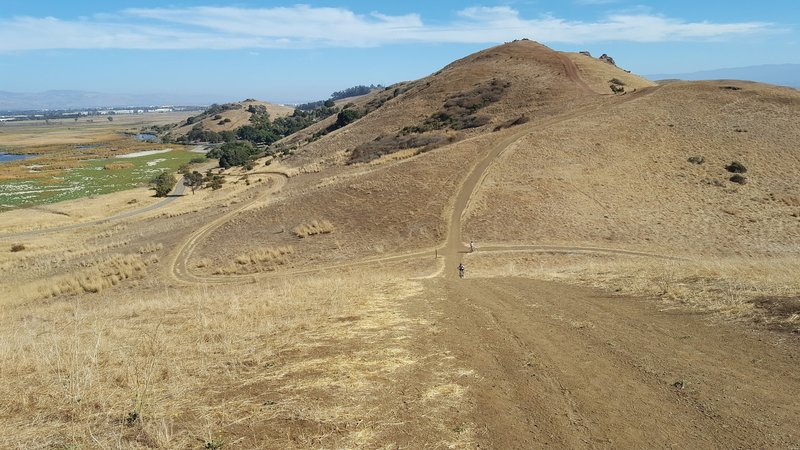 Red Hill Trail looking south at Nike Trail junction.