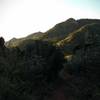 Singletrack runs through scrub oak, towards Manitou Springs.