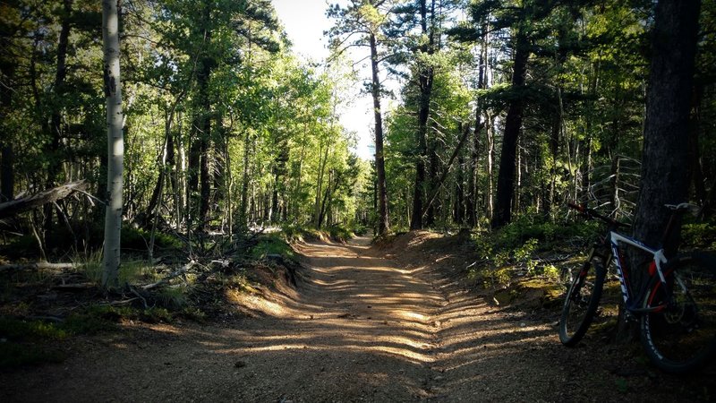 Apex of the climb up Longs Ranch Road.