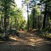 Apex of the climb up Longs Ranch Road.