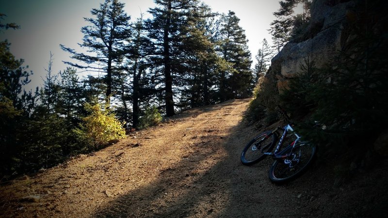 The start of a grinding climb between mile 2-3.