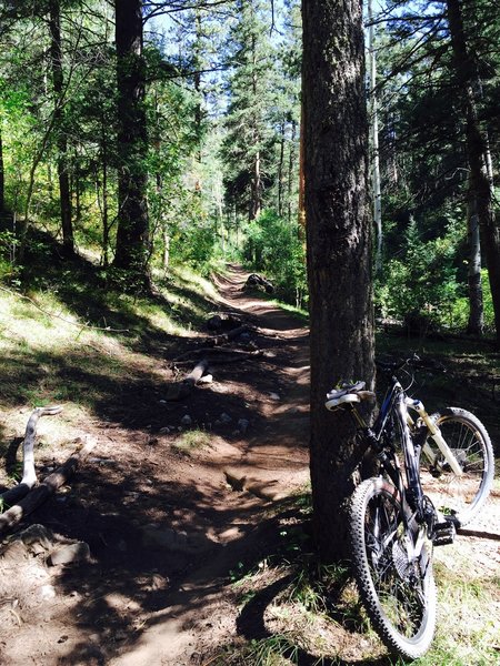 Awesome uphill and even better down hill through amazing woods. Classic Colorado.
