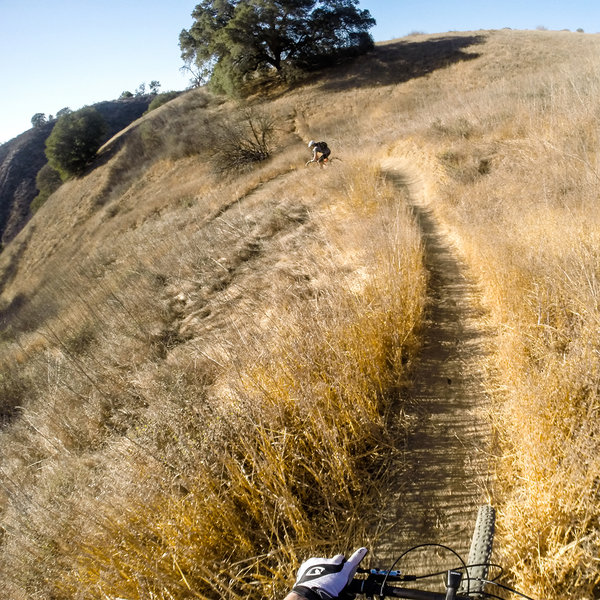 Start of the flowy descent towards Las Virgines Rd