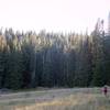 Meadow riding prior to breaking through treeline.