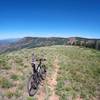 The faint, but amazing trail on Hardscrabble Ridge.