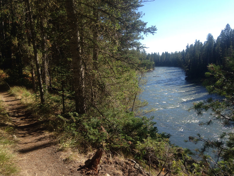 As you can see, you are right next to the river on this trail. It is quite the drop off at times.