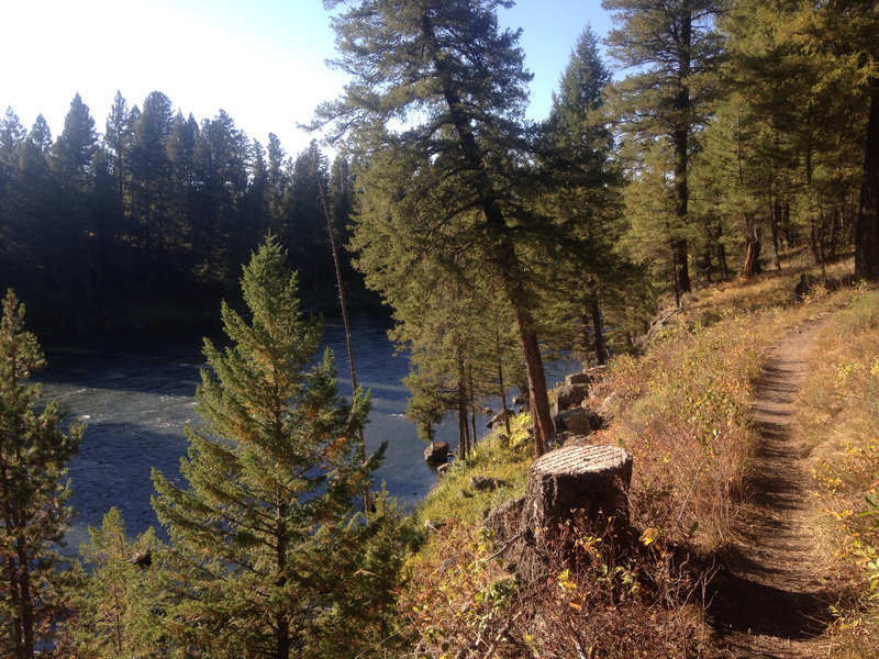 Beautiful river, trail combo.