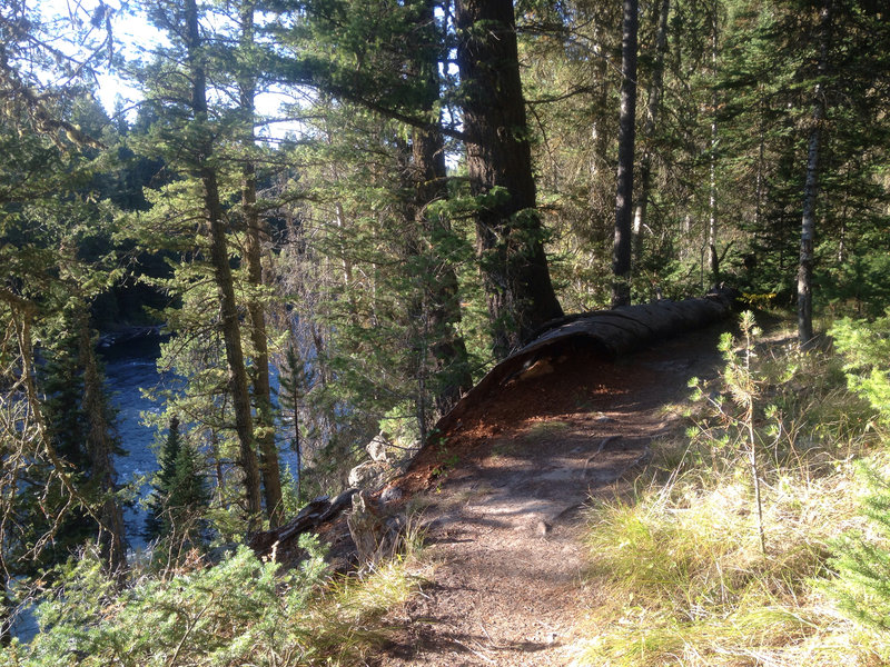 Log corner.