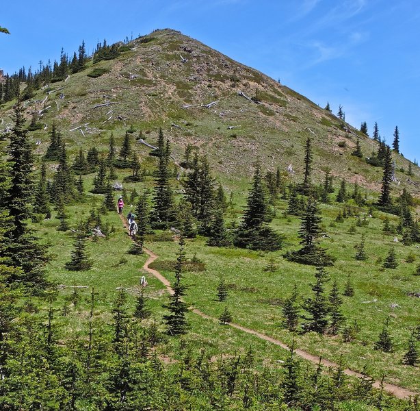 The south side of Noble Knob.