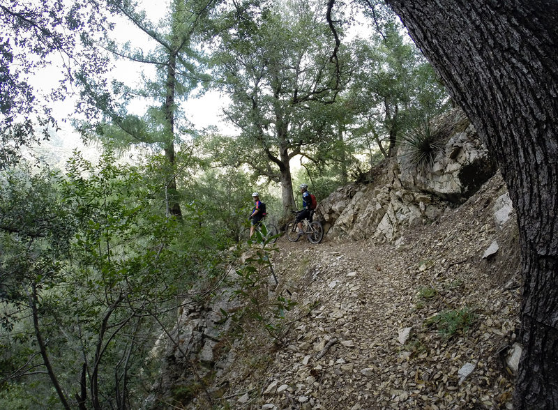 Typical exposure and vista along much of the trail.