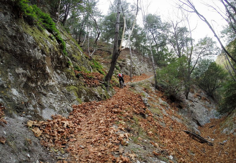 The climb from the campground up to Mt. Wilson Toll Rd is somewhat steep (and slippery when littered with damp leaves :) )