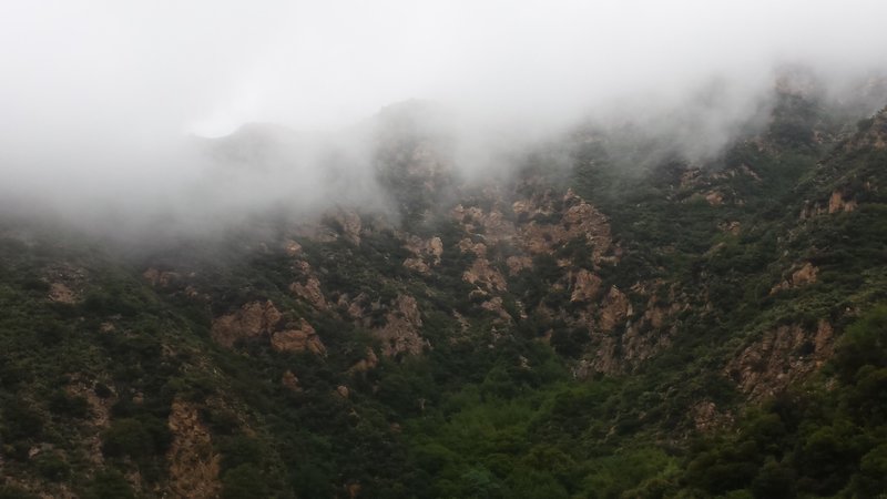 View from up from trail on a cloudy winters day.