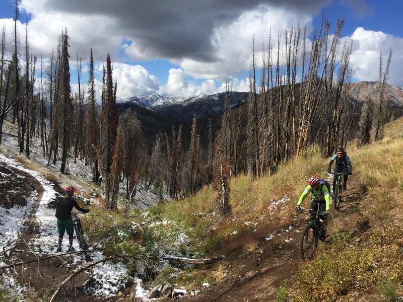 All kinds of trail conditions this day!  Early September 2016.