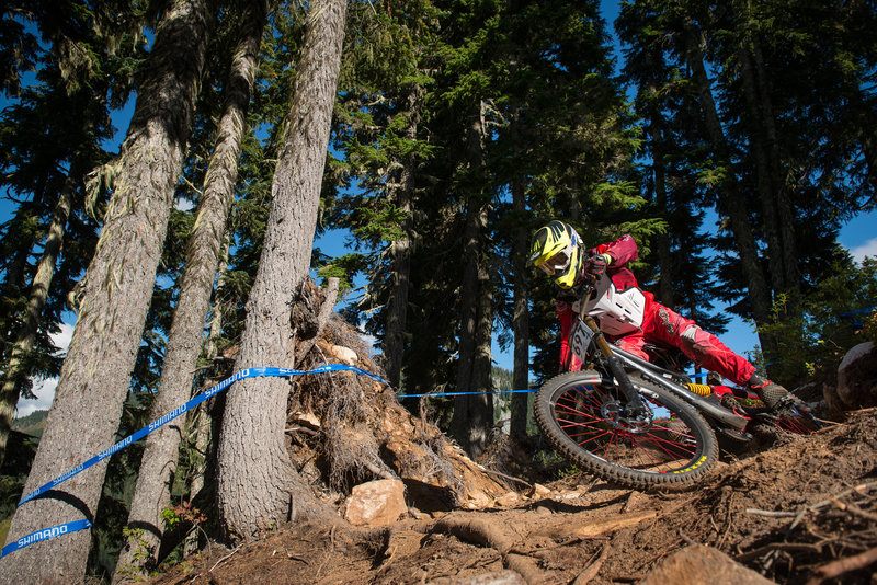 Jason Eiswald navigates a rough root section on Berserker, Stevens Pass Bike Park, WA.