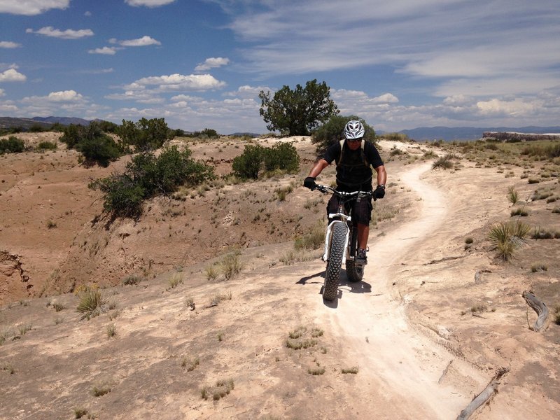 Rolling among the delicate cryptobiotic soils @ Final Frontier of White Mesa (Ridge) in New Mexico.  Camera: Susan Brayn.