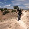 Rolling among the delicate cryptobiotic soils @ Final Frontier of White Mesa (Ridge) in New Mexico.  Camera: Susan Brayn.