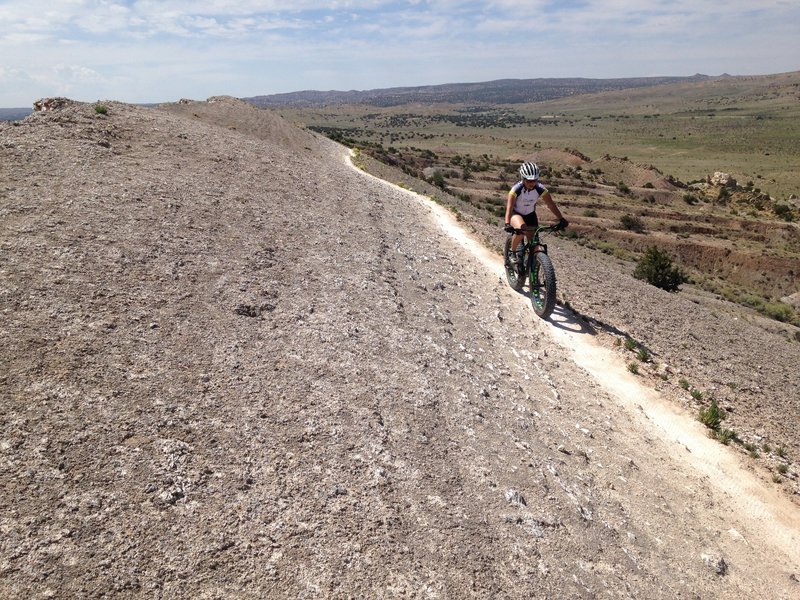 It's very important to stay on the trail in the delicate cryptobiotic soils within this system. Google Cryptobiotic crust.