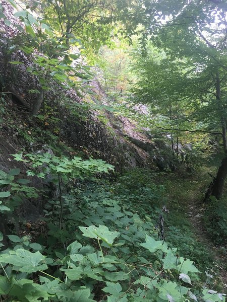 Rock outcropping on Blockstand Creek Trail.