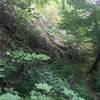 Rock outcropping on Blockstand Creek Trail.