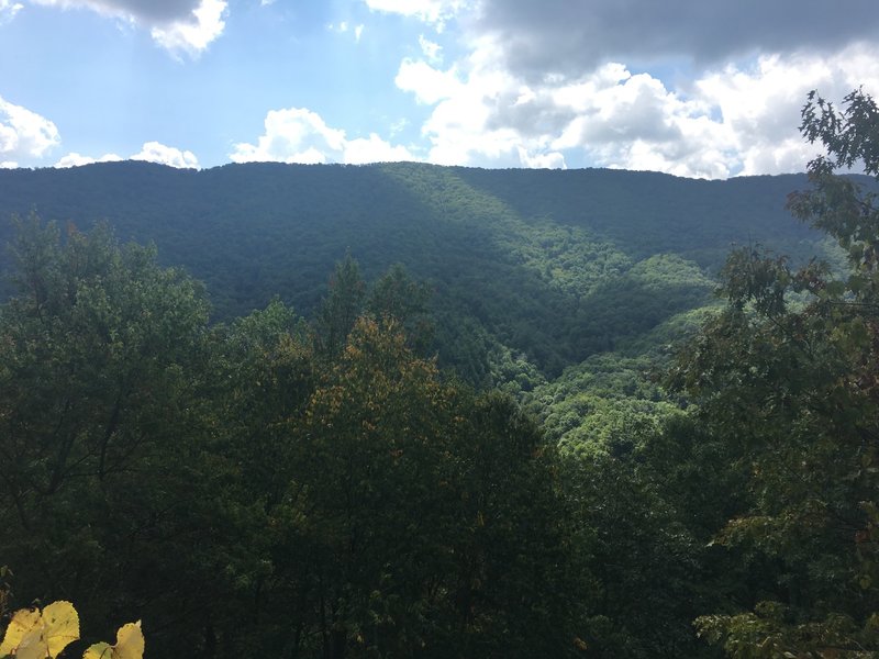 Spot with a view on Blockstand Creek Trail.