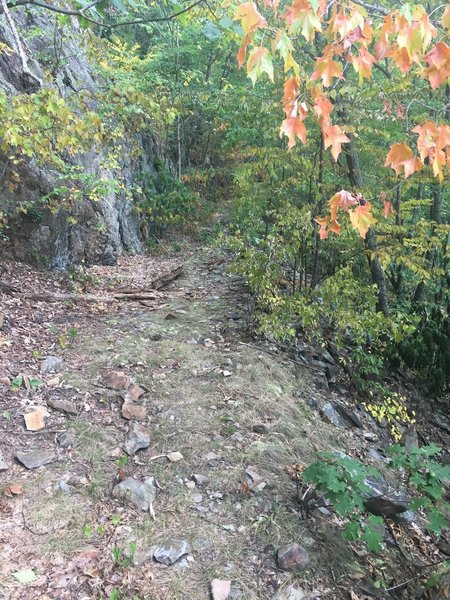 Another section of rocky outcropping on Blockstand Creek Trail.