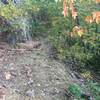 Another section of rocky outcropping on Blockstand Creek Trail.